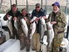 (03/14/2017) - Nice Striped Bass